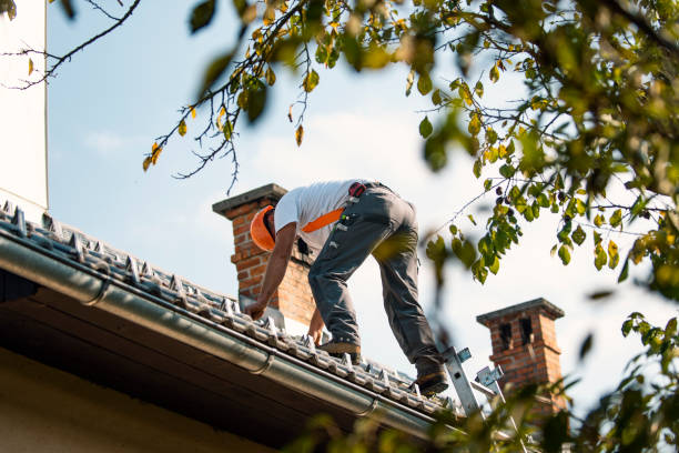 Best Roof Gutter Cleaning  in Centralia, MO