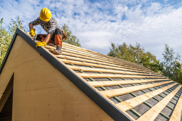 Best Roof Maintenance Services  in Centralia, MO